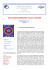 NOTIZIARIO N_ 51 2013_I° BOZZA