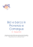 Bici e barca in Provenza e Camargue