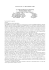 Clicca_qui_pdf_sentenze_complete