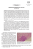 621-633 Rass1-Testino - Recenti Progressi in Medicina
