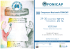 18_Programma Fonicap