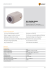 Apri PDF