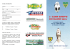 1° camp estivo di calcio 2013