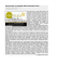 Terre del Sole, la newsletter dell`extravergine d`oliva