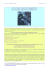 Scarica la newsletter in PDF