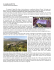 2013.10 escursione in rosa