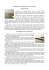 ITINERARIO NATURALISTICO VALLE VECCHIA INTRODUZIONE L