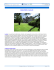VisualFactory TenarisDalmine