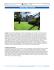 Scarica pdf - Viaggia con Stile