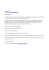 Stage ICT - Macroarea di Scienze