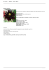 Da sole : Dahlia `Chat Noir`