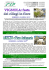 programma pdf