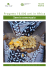 Semi e semenzaio - Fondazione Slow Food