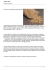 Caldaie a Pellet