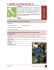 Sangiovese SS-F9-A5-48