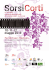 1O-11-12 maggio 2O13