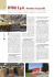 Industria del legno. Pallets, logistica e tanto altro…