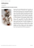 MFfashion.com - Fondazione Gianfranco Ferré