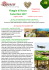 VIAGGIO DI NOZZE COSTA RICA DELUXE n.2