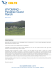 WYOMING - Paradise Guest Ranch - Stati Uniti