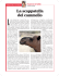 cammello - WordPress.com