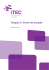 iTEC sintesi progetto