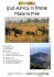 Sud Africa in Pillole Malaria Free