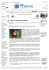 LA RETE HA BISOGNO DI REGOLE Pagina 1 di 2 ITnews. Notizie