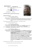 Curriculum Vitae Europass