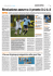[n-empolsport - 7] nazione/giornale/ems/02 06/05/10