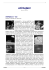 scarica quest`articolo in formato pdf