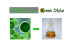 “Biodiesel da Alghe” una tecnologia di Green House