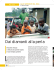 Dai diamanti alla perla