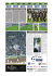 Calcio Calcio Calcio Calcio Calcio Calcio Calcio Cal cio Calcio