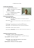 curriculum vitae