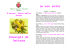 8 marzo, Festa della Donna Consigli di lettura (e non solo)