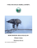 monitoraggio aquila reale 2011- realazioen interna