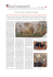 pdf - Fondazione Internazionale Menarini