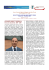newsletter_n_10_dicembre_2008_Europe Direct Isernia