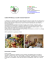 Corso Amatoriale di Cucina Italiana Creativa