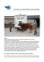 VERSIONE pdf - KBS