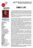 Scarica la scheda del film in pdf