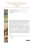 Scarica questo file PDF