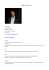curriculum vitae