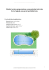 Scheda tecnica preparazione e posa piscina