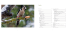 Fauna delle foreste.indd