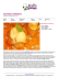 Sorbetto al Melone - Ricette Gelati | RicetteDalMondo.it