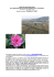WEEK END IN MONGOLFIERA SUL TERRITORIO DELLE ANTICHE