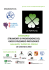 seminario strumenti di prevenzione del strumenti di prevenzione del