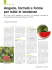 Angurie, formati e forme per tutte le tendenze